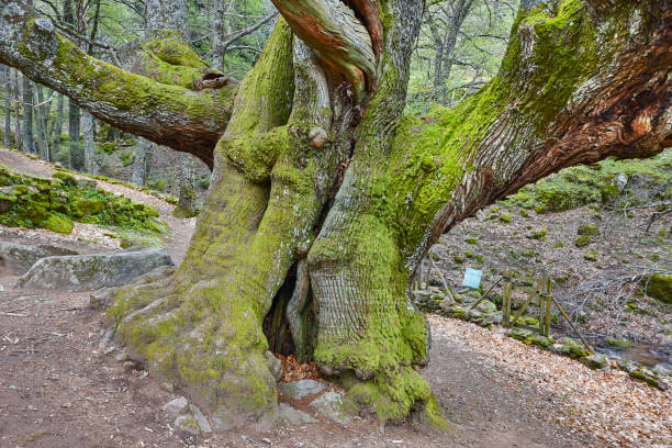 Valle del Ambroz